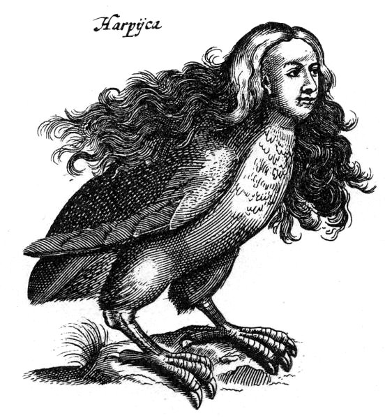 Harpyie, Gravur von 1660